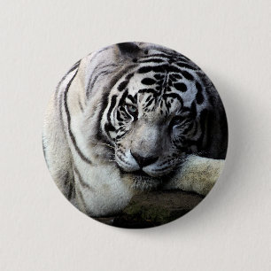 Badge Rond 5 Cm Regard fixe blanc de tigre