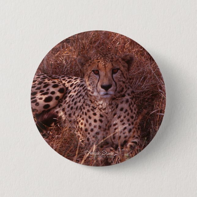 Badge Rond 5 Cm Regard fixe de guépard (Devant)