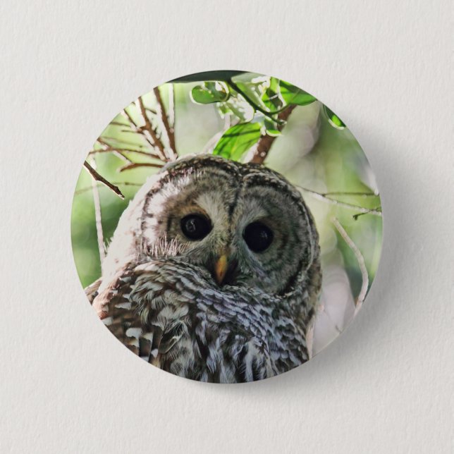 Badge Rond 5 Cm Regarder de hibou barré (Devant)