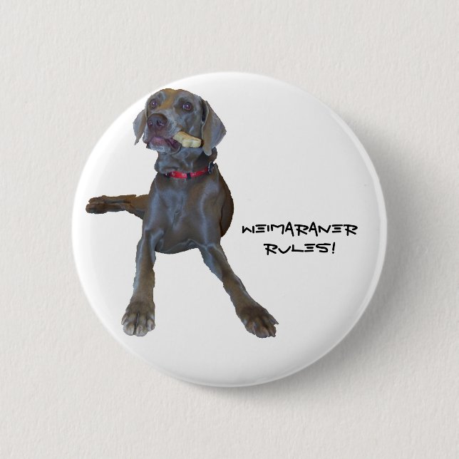 Badge Rond 5 Cm Règle de Weimaraners ! (Devant)