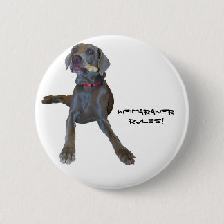 Badge Rond 5 Cm Règle de Weimaraners !