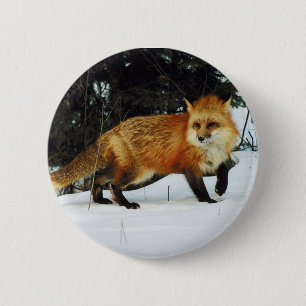 Badge Rond 5 Cm Renard