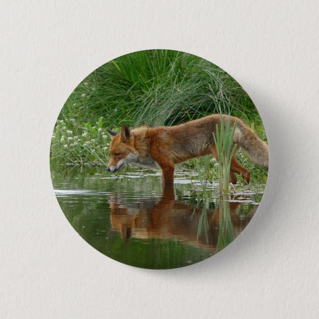 Badge Rond 5 Cm Renard dans l'étang (Devant)
