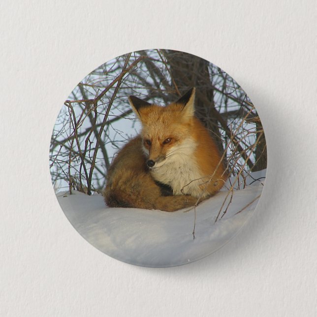 Badge Rond 5 Cm Renard de repos (Devant)