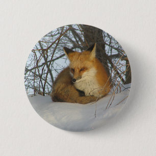 Badge Rond 5 Cm Renard de repos