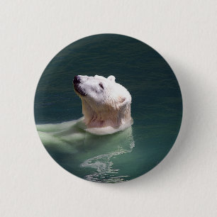 Badge Rond 5 Cm Repos d'ours blanc