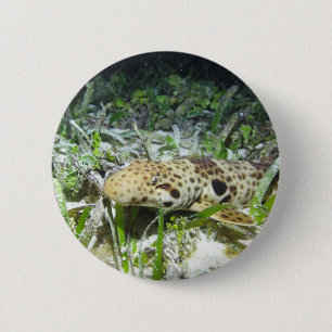 Badge Rond 5 Cm Requin à épaulettes marchant dans les îles Raja Am