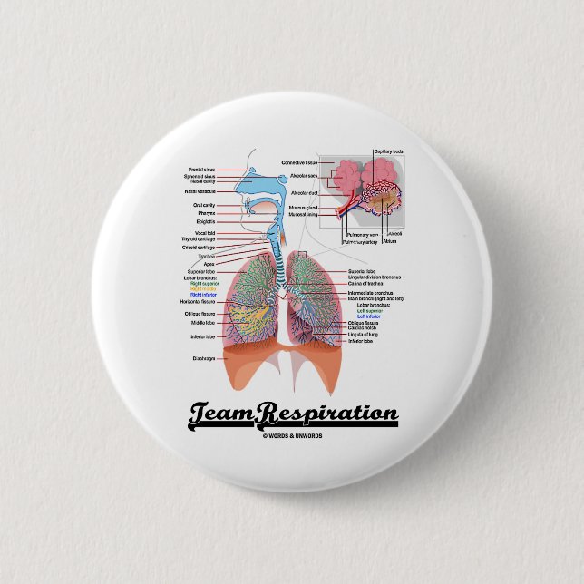 Badge Rond 5 Cm Respiration d'équipe (appareil respiratoire) (Devant)