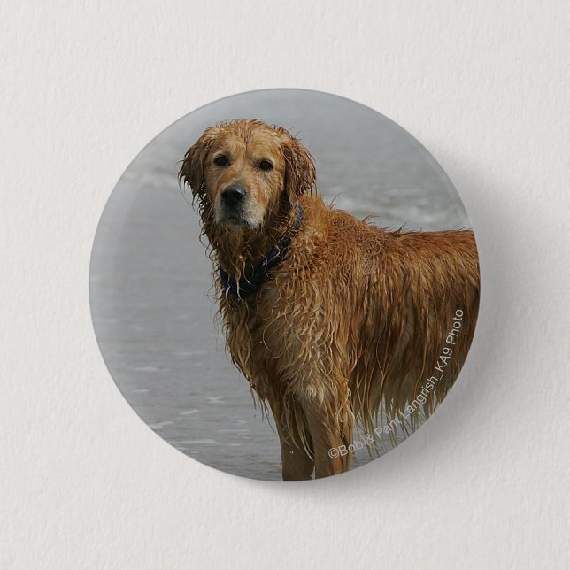 Badge Rond 5 Cm Retreiver d'or en mer (Devant)