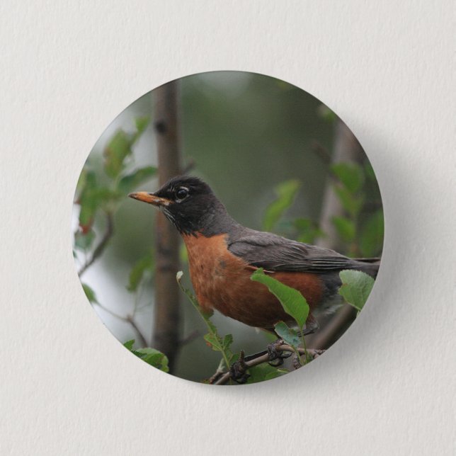 Badge Rond 5 Cm Robin (Devant)