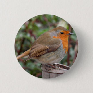Badge Rond 5 Cm Robin