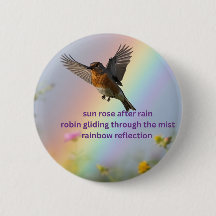 Robin Arc-en-ciel