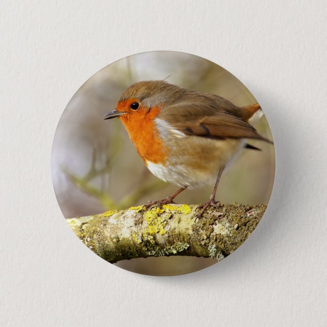 Badge Rond 5 Cm Robin sur la branche (Devant)