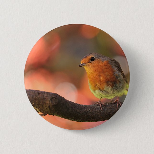 Badge Rond 5 Cm Robin sur une branche (Devant)