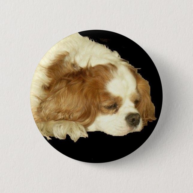 BADGE ROND 5 CM ROI CAVALIER CHARLES SLEEPING (Devant)