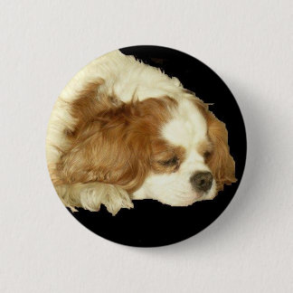 BADGE ROND 5 CM ROI CAVALIER CHARLES SLEEPING