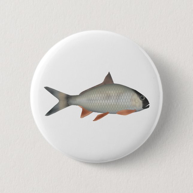 Badge Rond 5 Cm Roi Poisson Assamais (Devant)