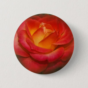 Badge Rond 5 Cm Rose à flamme sur parchemin