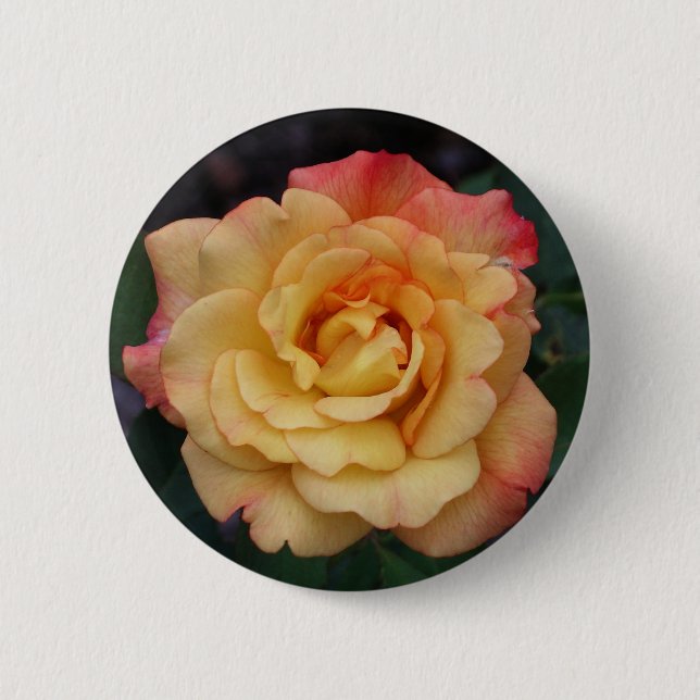 Badge Rond 5 Cm Rose Beautiful Pink and Yellow Floral (Devant)