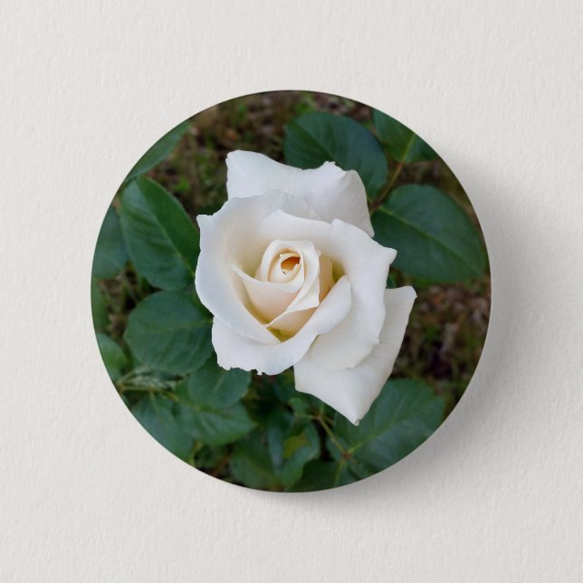 Badge Rond 5 Cm rose blanche (Devant)