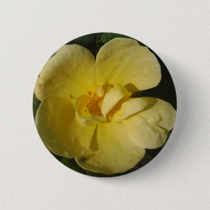 Badge Rond 5 Cm Rose jaune sauvage