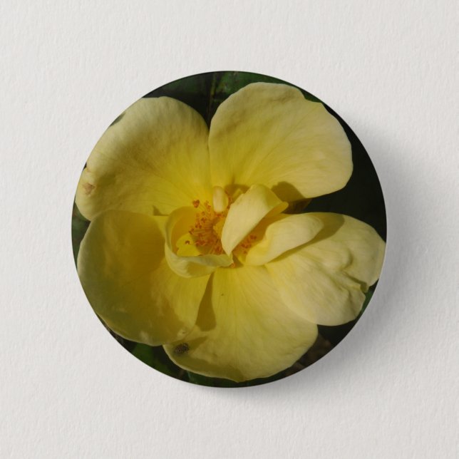 Badge Rond 5 Cm Rose jaune sauvage (Devant)