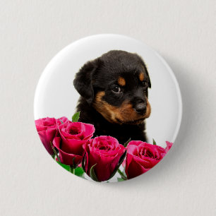 Badge Rond 5 Cm Rose Valentin Rottweiler Puppy