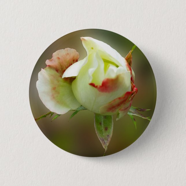 Badge Rond 5 Cm rosebud brillant (Devant)
