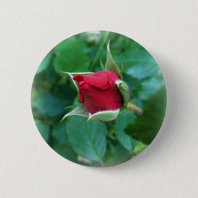 Badge Rond 5 Cm rosebud rouge (Devant)
