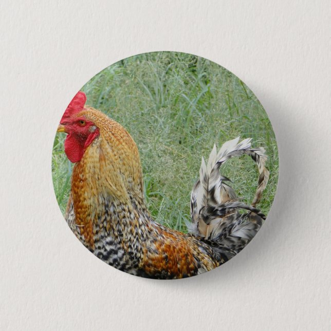 Badge Rond 5 Cm Rosters (Devant)