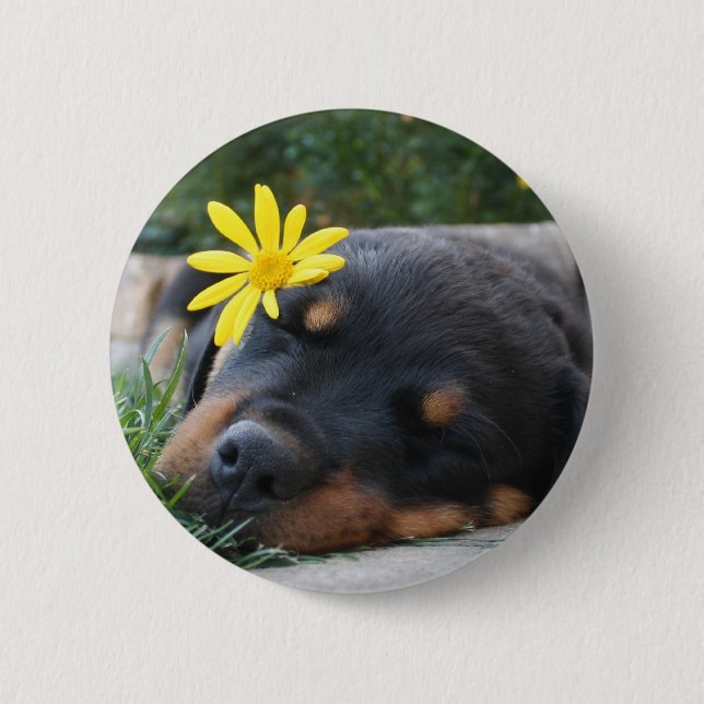 Badge Rond 5 Cm Rottweiler (Devant)