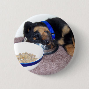 Badge Rond 5 Cm rottweiler à tête blanche.