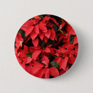Badge Rond 5 Cm Rouge Poinsettias II Noël Fête Florale