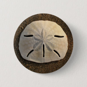Badge Rond 5 Cm Sable Dollar Coquille photo Custom Pin Button