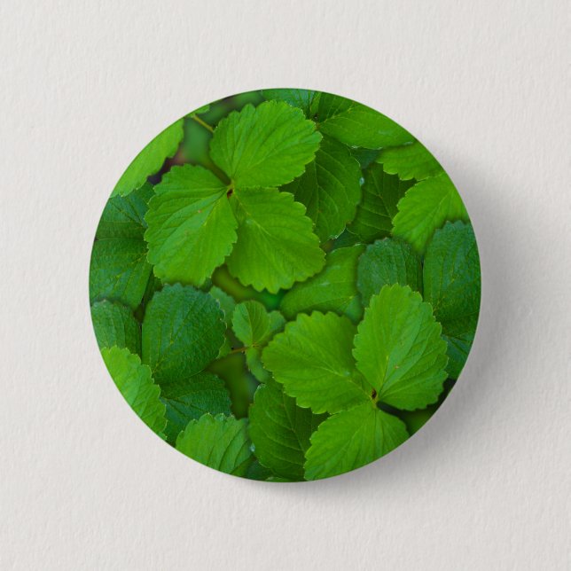 Badge Rond 5 Cm Saint Basil Tulsi Green Mint Feuilles (Devant)