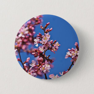 Badge Rond 5 Cm Sakura Cerry Blossoms Touché Bleu