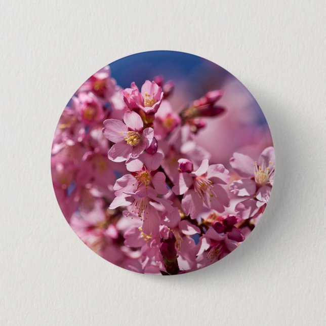 Badge Rond 5 Cm Sakura Cherry Blossoms embrassés par Sunlight (Devant)