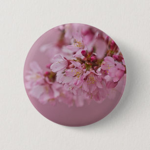 Badge Rond 5 Cm Sakura Cherry Blossoms rose pâle Réflexions
