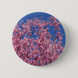 Badge Rond 5 Cm Sakura Cherry Fleurit Dans Le Bleu
