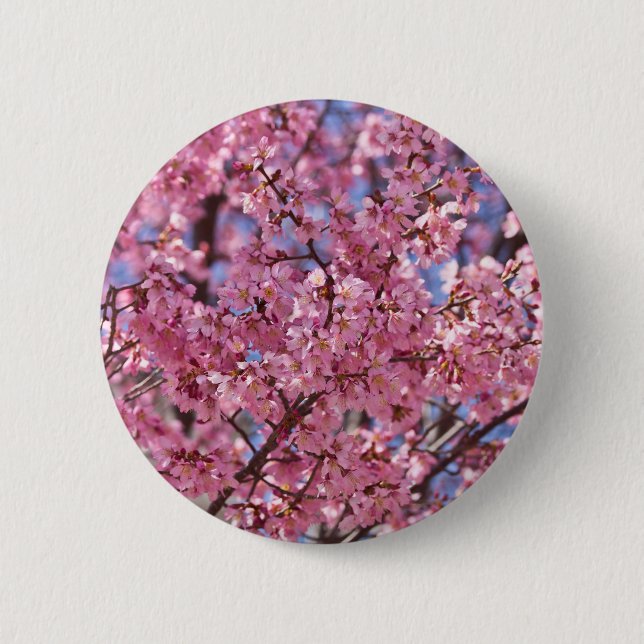 Badge Rond 5 Cm Sakura Pink Cherry Blossom Sky (Devant)