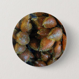 Badge Rond 5 Cm Salak [Fruit de serpent]