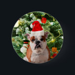 Badge Rond 5 Cm Santa Hat Bulldog Christmas Tree Snowman boîte cad<br><div class="desc">Mignonne photo Bulldog avec boîte cadeau de Noël Tree Snowman en arrière - plan. Un cadeau parfait pour Noël !</div>