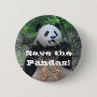 Sauver les pandas géants