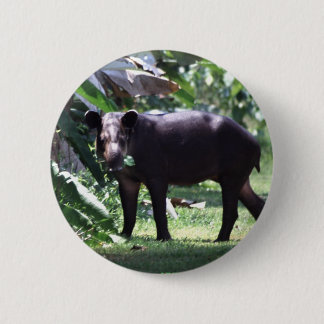 Badge Rond 5 Cm sauvez le tapir