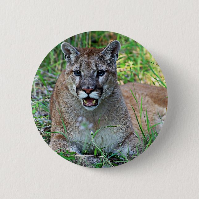 Badge Rond 5 Cm Se plaindre de puma (Devant)