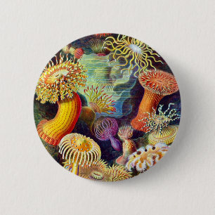 Badge Rond 5 Cm Sea Anemones Ernst Haeckel Art