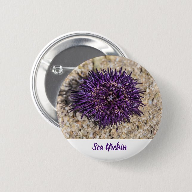 Badge Rond 5 Cm Sea Urchin Ocean Beach Vacances Souvenir d'été (Devant & derrière)