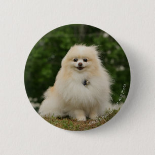 Badge Rond 5 Cm Séance de Pomeraning