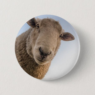 Badge Rond 5 Cm Selfie de mouton amusant