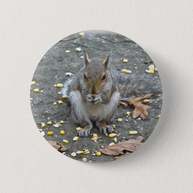 Badge Rond 5 Cm Série d'écureuils gris (Devant)